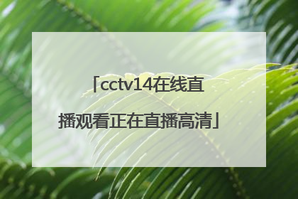 「cctv14在线直播观看正在直播高清」下载央视频直播