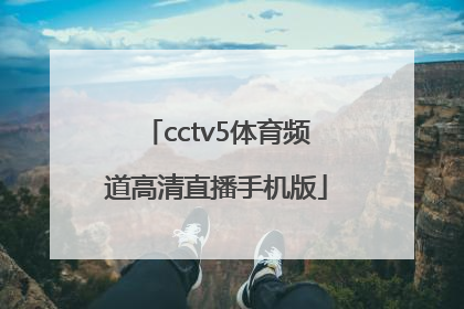 「cctv5体育频道高清直播手机版」cctv5体育频道手机直播节目